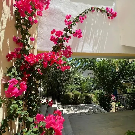 Apart-hotel Sunflower & Kassiopi