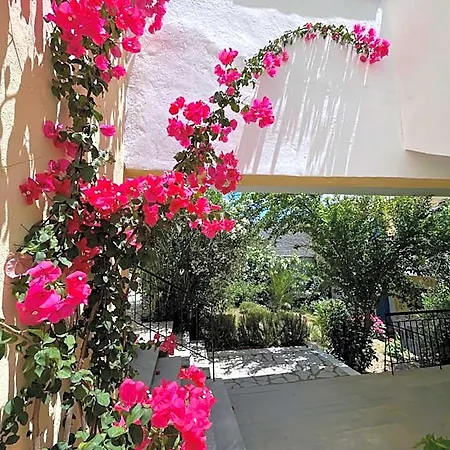 公寓式酒店 向日葵公寓式酒店 4*