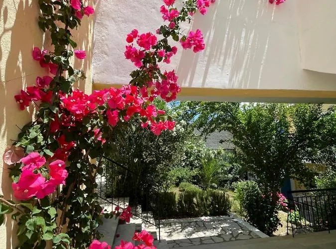 Aparthotel Sunflower & Kassiopi